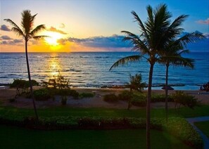 Condo, 2 Bedrooms | Property grounds - Hale Tiare 2 Bedroom Condo by RedAwning (Kapaa)