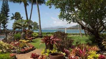 Condo, 1 Bedroom | Property grounds