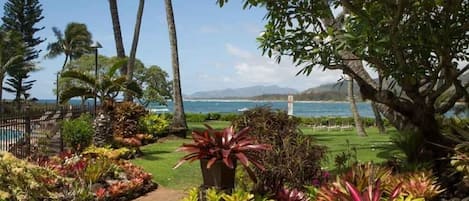 Condo, 1 Bedroom | Property grounds