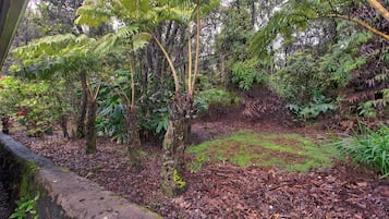 House, 1 Bedroom | Property grounds