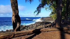 A rocky shoreline with ocean waves, trees, and a clear sky. - Maluhia Hale 3 Bedroom Home by RedAwning (Keaau)