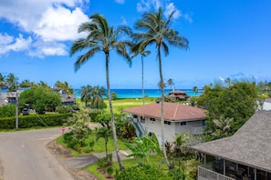 Enjoy a tranquil coastal retreat with ocean views, a lush lawn, and palm trees.