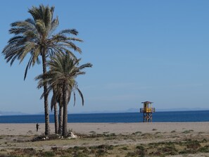 A beach with palm trees and a lifeguard tower.