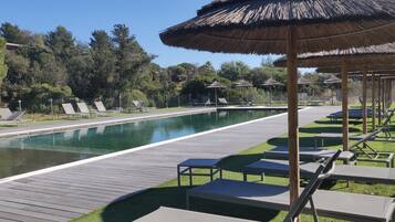 Alberca al aire libre, acceso de 08:30 a 19:00, y camastros