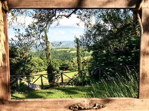 المنطقة المحيطة بالمنشأة