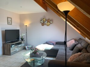 Fernseher, Bücher, Musikbibliothek, Stereoanlage