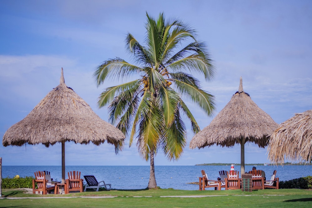 Hotel Punta Faro by null