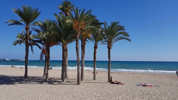 A beach with palm trees and a clear blue sky. - Fine apartment by the sea, beach, nice and quiet yet close to Center (Villajoyosa)