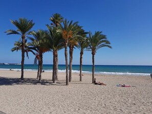 Une plage bordée de palmiers, sous un ciel bleu et dégagé.