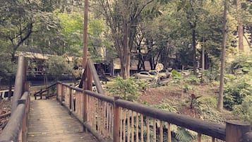 Ăreas de la propiedad