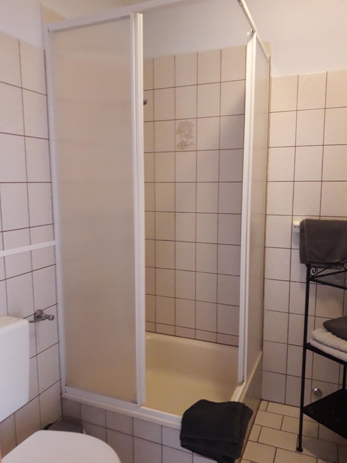 Une salle de bain avec une douche, des toilettes et un porte-serviettes.