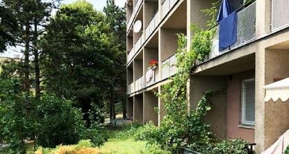 Sunny Studio neben dem BVV, 20 Minuten vom Brno Circuit entfernt