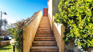 A concrete staircase leading to a door, surrounded by greenery and stone walls.