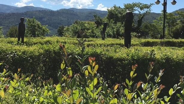 Un jardín ajardinado con setos recortados y una vista despejada de montañas lejanas.