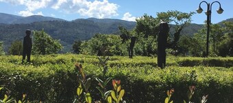 Authentic Villa surrounded by Nature CIN IT055032C29Z019674