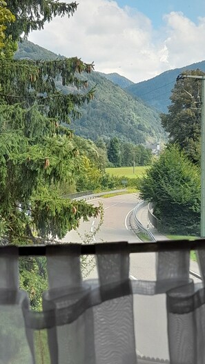 Una carretera serpentea a través de una zona montañosa con abundante vegetación a ambos lados.