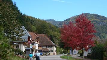 A residential street with houses, a red-leaved tree, and a hiker with a walking stick.