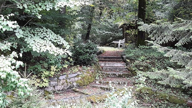 A stone staircase surrounded by dense foliage, leading to a small wooden structure with a bench. - Haus Barnabas im Engel - Gasthaus Engel (Utzenfeld)
