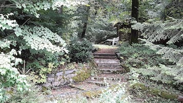 Double Room (Hudson Taylor) | Garden view