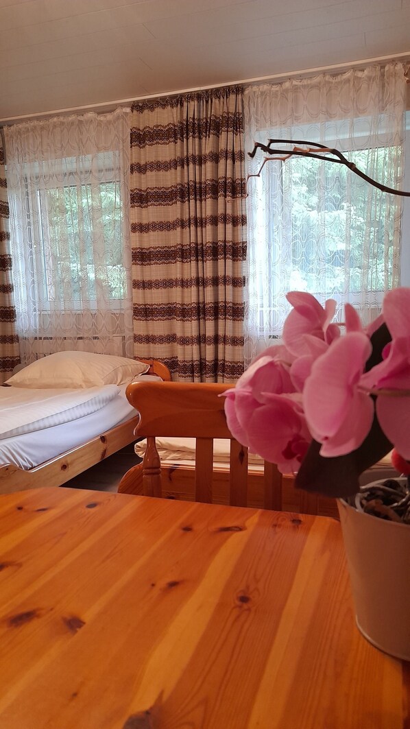 Desk, iron/ironing board, free WiFi, bed sheets