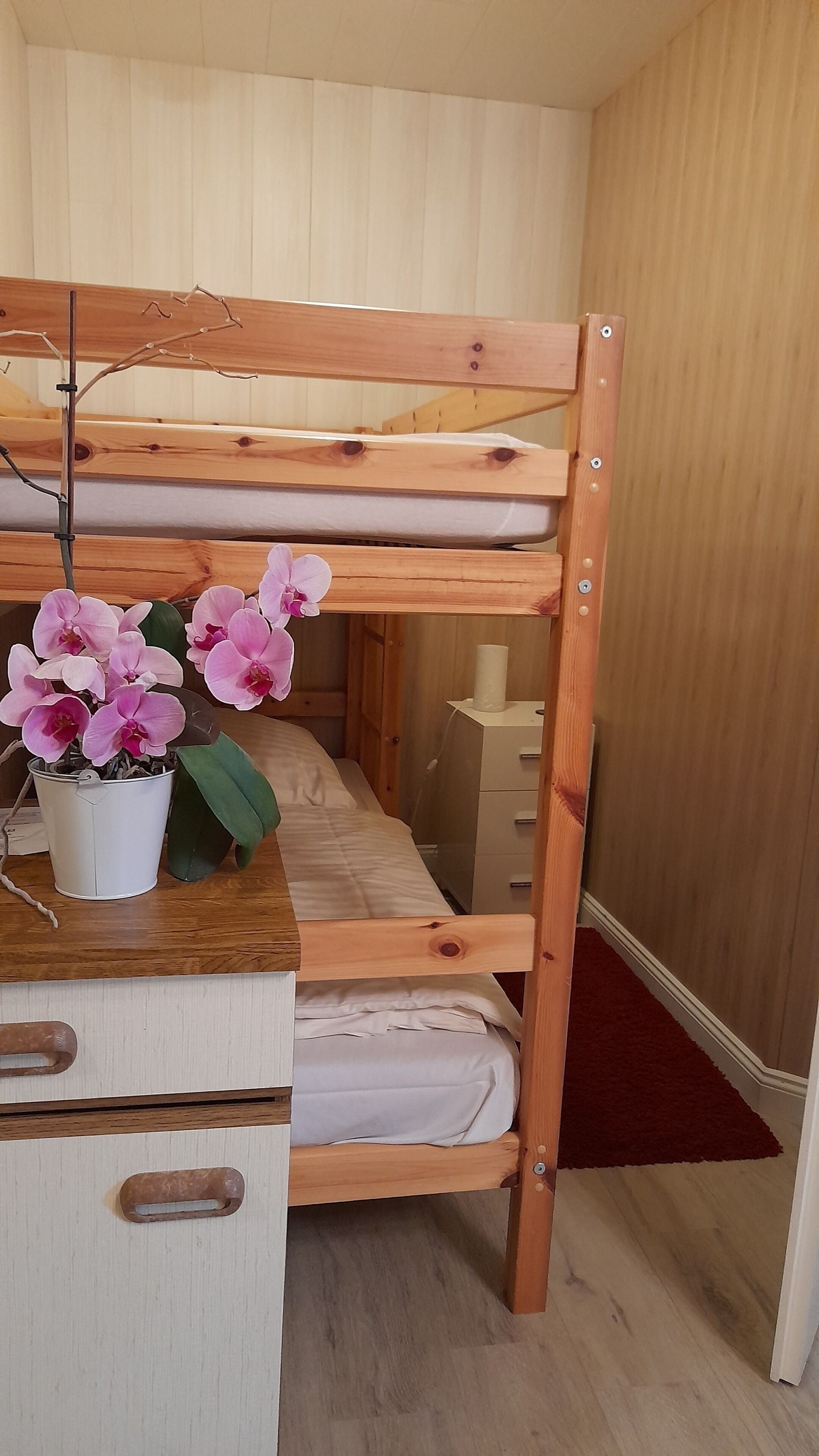 Una cama litera con escritorio y cajones, una orquídea en maceta y una alfombra roja.