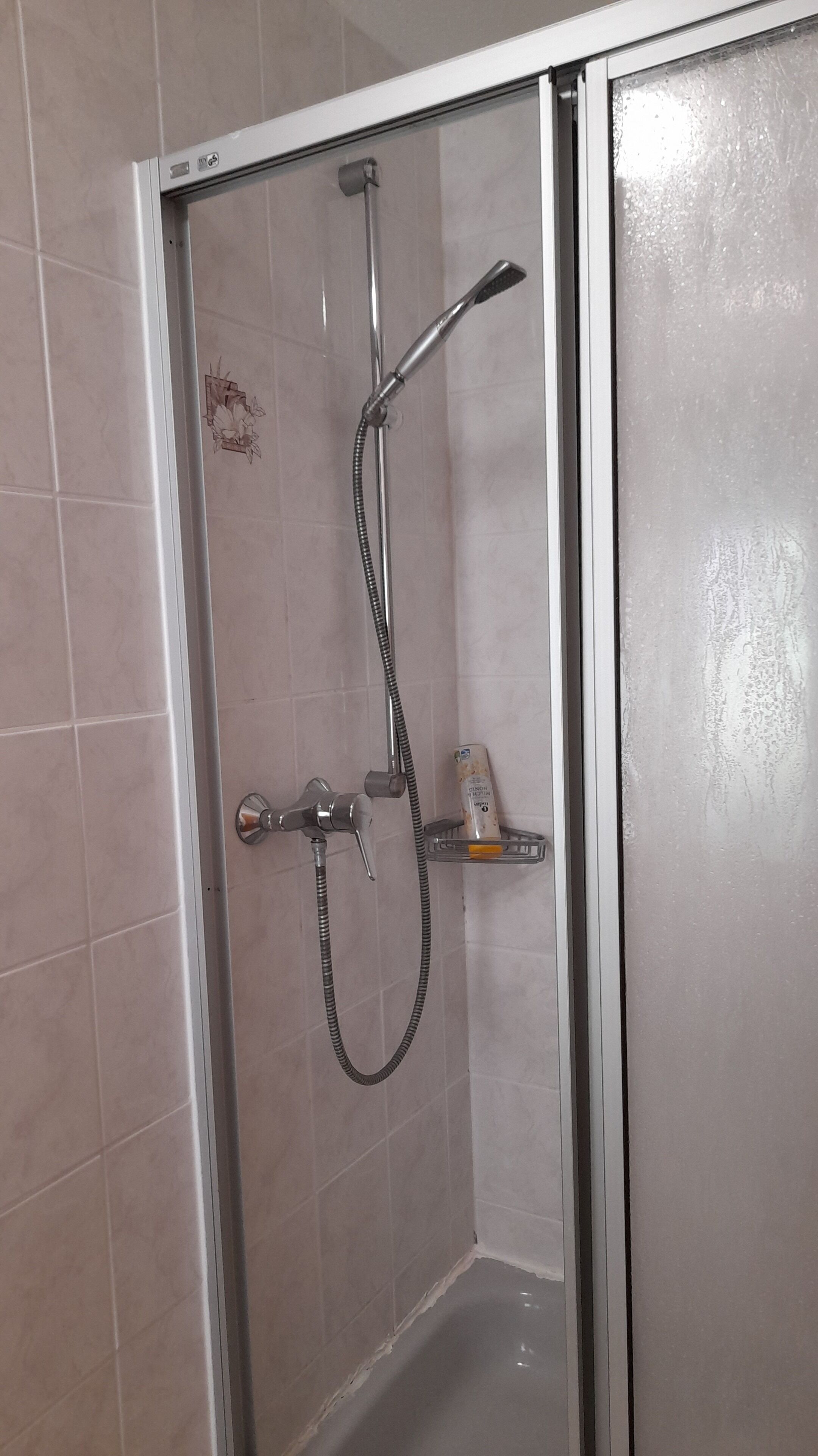 A glass-enclosed shower with a handheld showerhead and a handheld faucet.