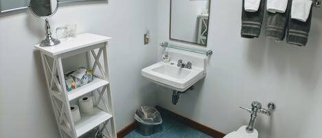 A bathroom with a white sink, a mirror, a toilet, and a shelf with toiletries.