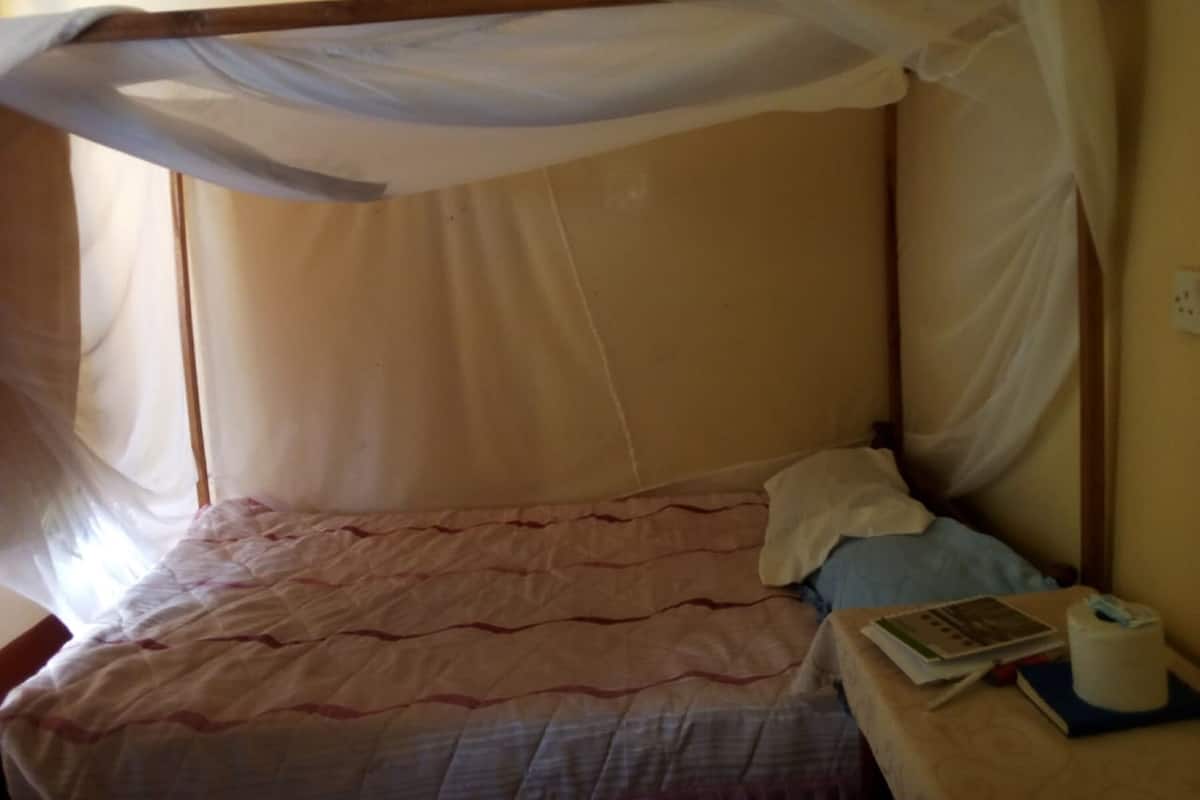 A bed with a mosquito net, a pillow, a book, and a tissue box on a bedside table.