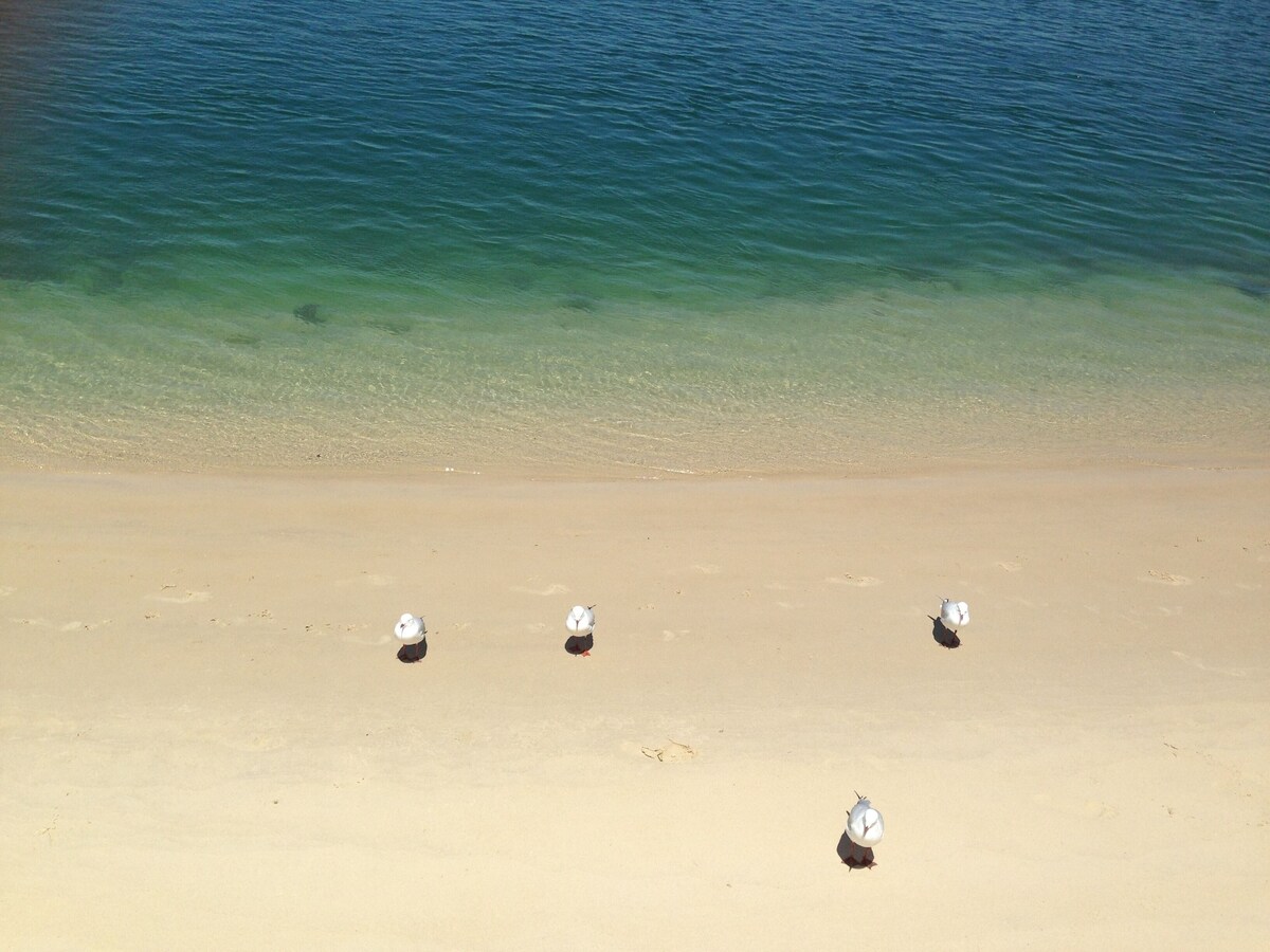 XYL Pets Friendly Seaside Boutique Guesthouse