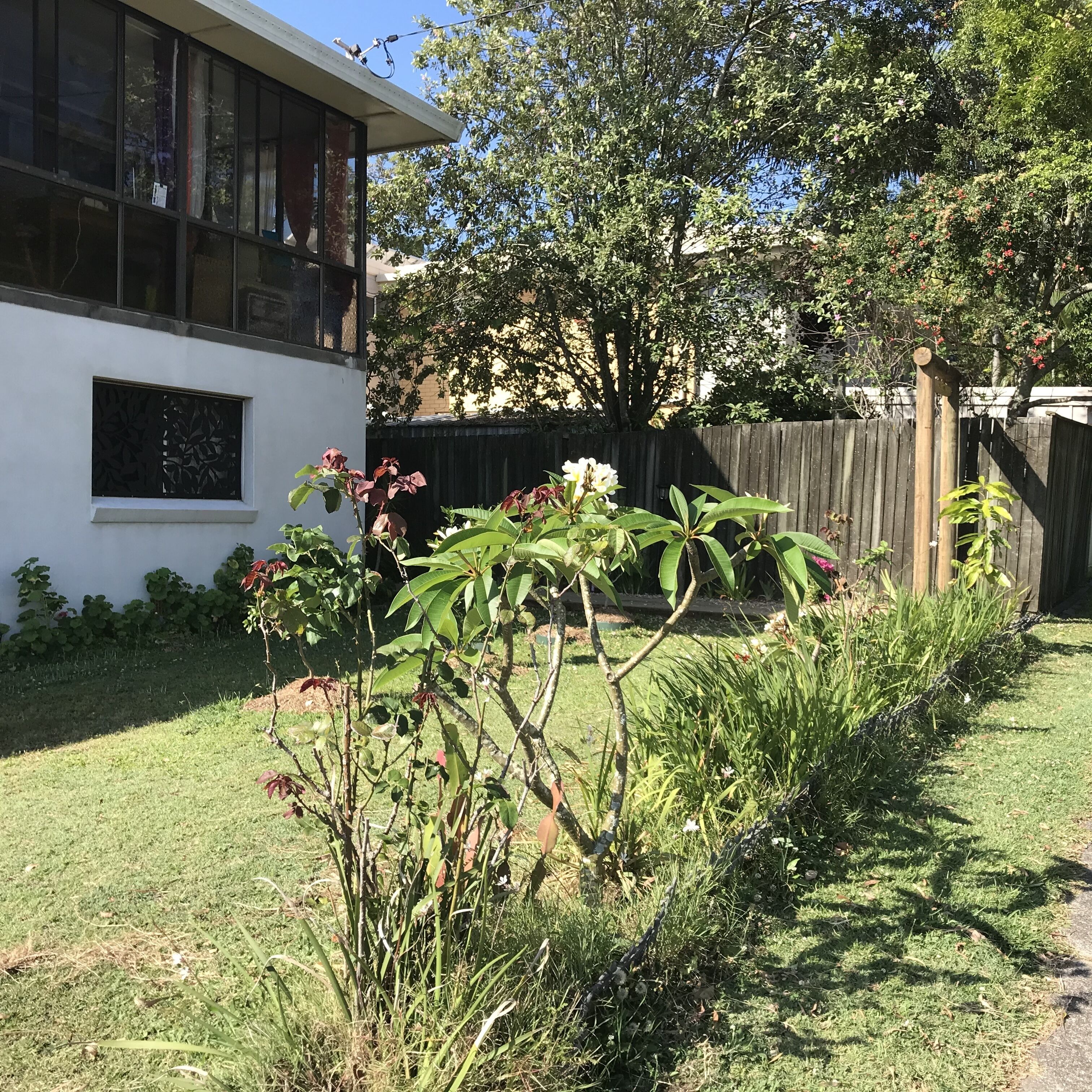 Un jardín residencial con una casa blanca, una valla de madera y diversas plantas.