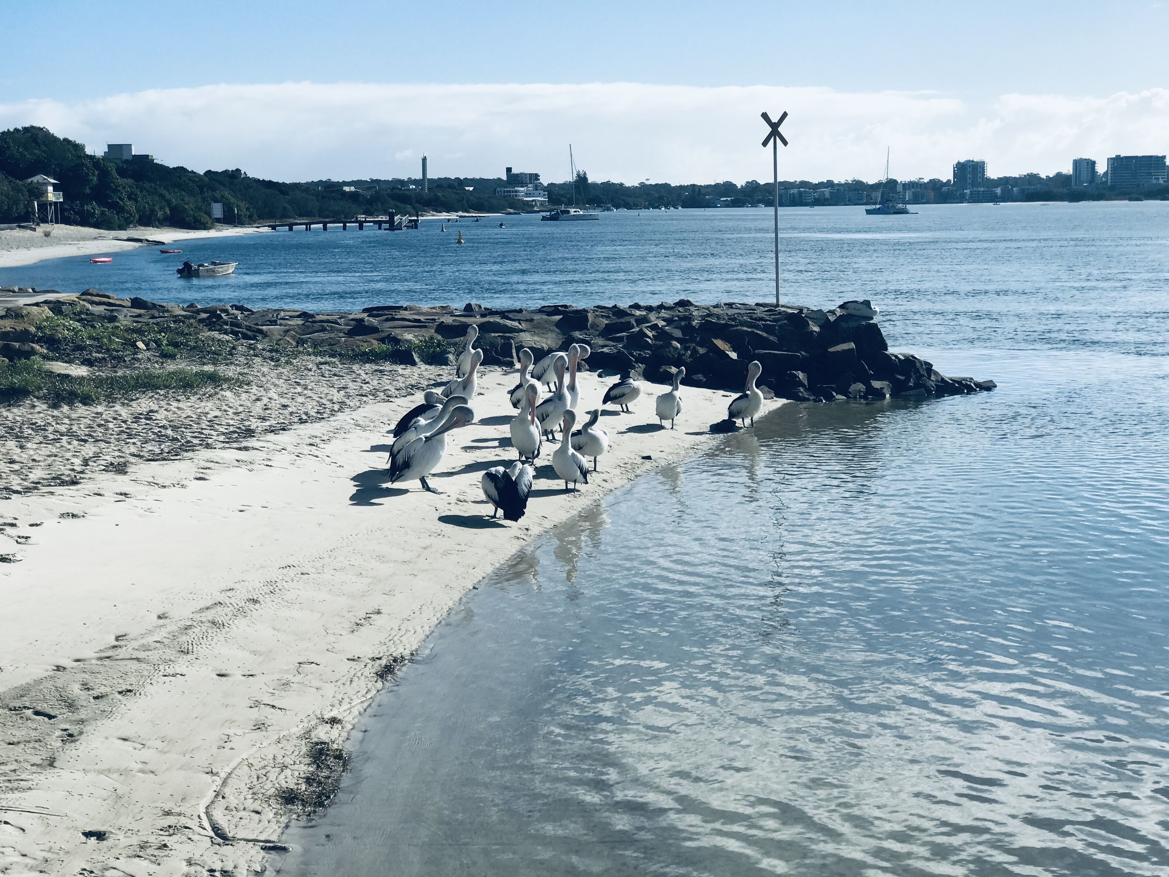 Una playa con un afloramiento rocoso y una señal de paso a nivel.