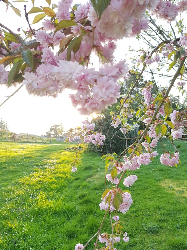Dugneberg B & B photo 3