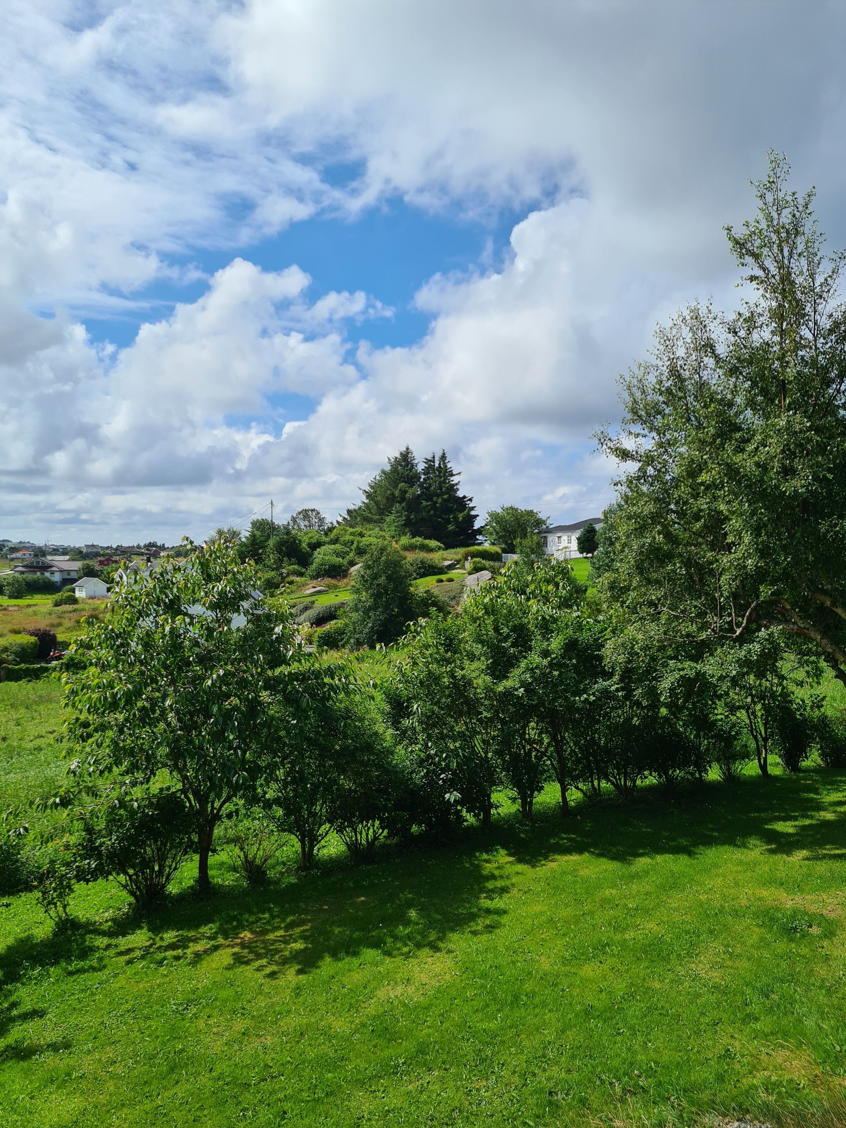 Classic-Doppelzimmer, 1 King-Bett | Ausblick vom Zimmer