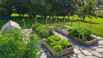 A garden with raised beds, a greenhouse, and a stone pathway.