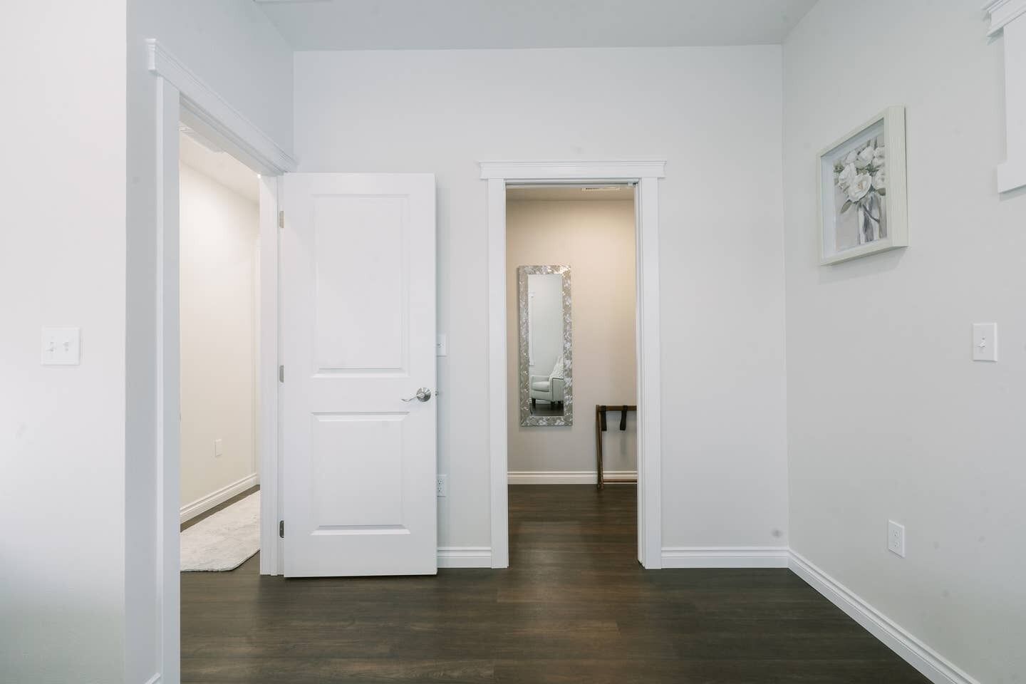 A hallway with a white door, a mirror, and a framed picture on the wall.