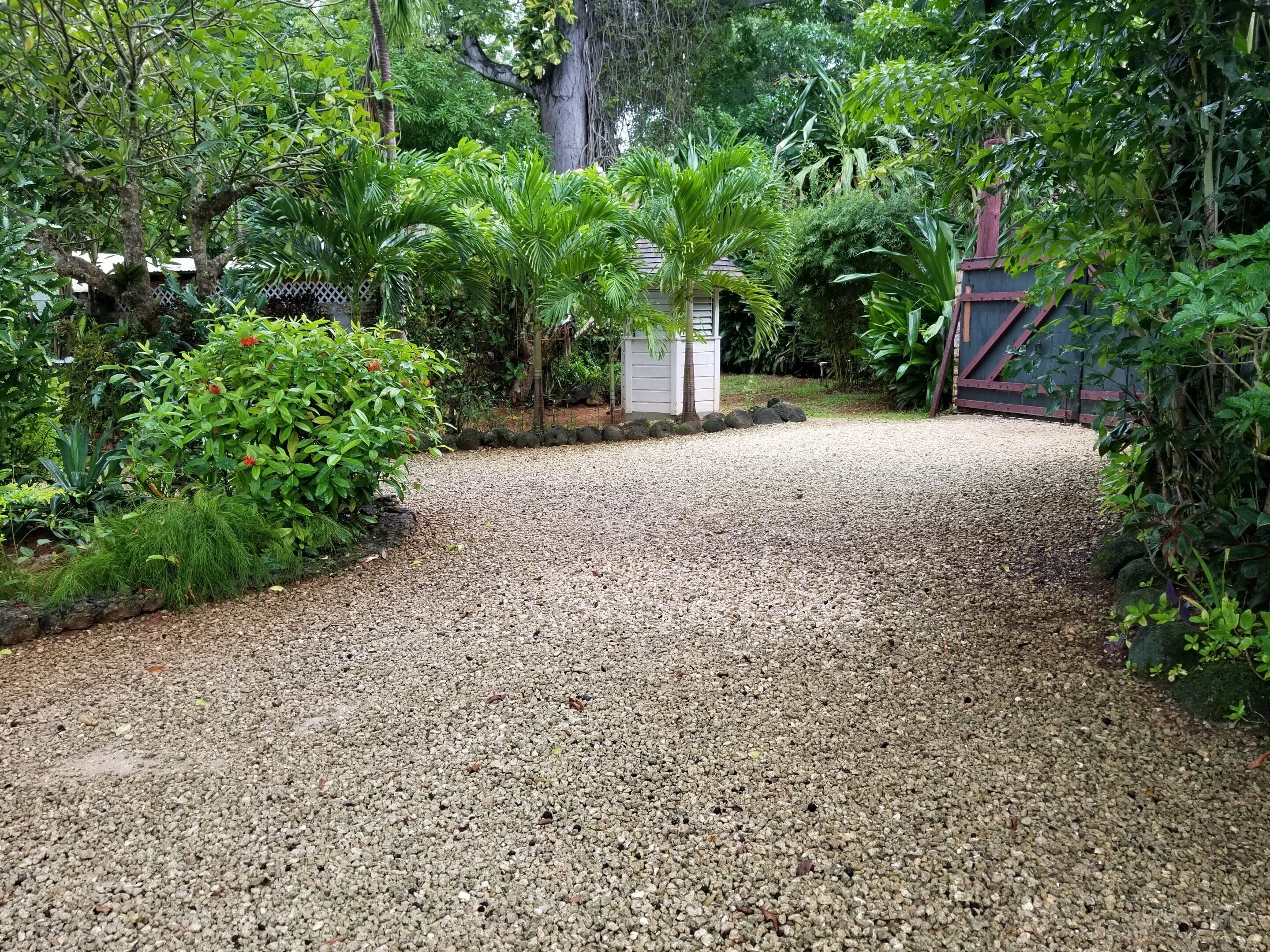 A gravel pathway leading to a house surrounded by lush greenery and a small shed.