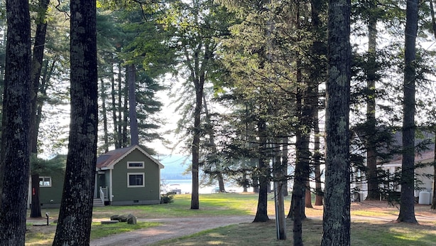 A cabin surrounded by tall trees, a grassy area, and a body of water in the background. - 3 bedroom, 2 Baths, 8 Sleeps, detached bunk house, open boat slip (Ossipee, NH 03814)