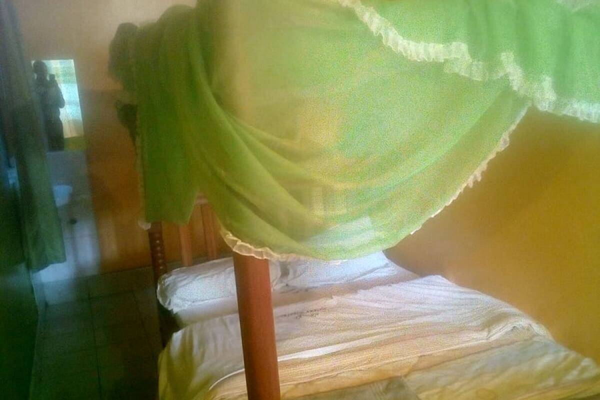 A single bed with a wooden frame and a white mattress. A green, sheer canopy is draped over the bed. The room has a tiled floor and a plain wall in the background.