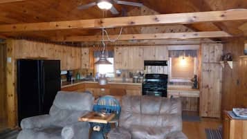 Smart TV, chimenea, reproductor de DVD y libros