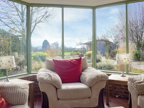 TV, video game console