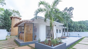 A modern house with a thatched roof, a garden with palm trees, and a paved walkway. - Bohol Sojourn (Panglao)