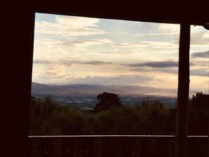 Interior - Vega lots (Barva)