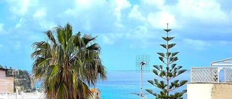 A coastal building with a view of the sea, a palm tree, and a pine tree.