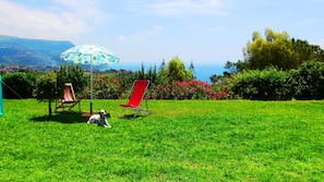 Jardin