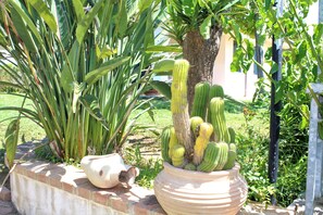 Garden - Villa Faro (Ricadi)