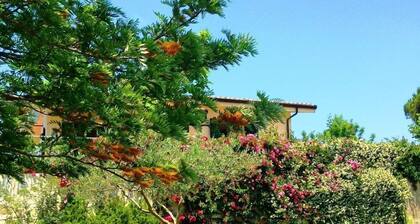 Villa Faro