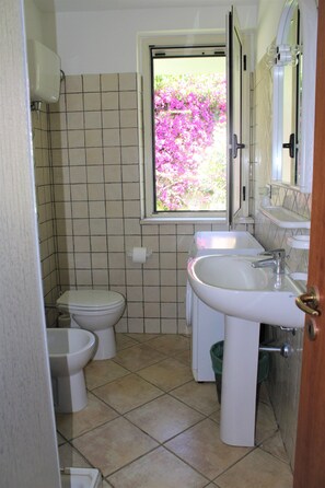 Douche, douche à « effet pluie », sèche-cheveux, bidet