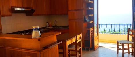 Panoramic Apartment, 3 Bedrooms | Private kitchen | Full-sized fridge, oven, stovetop, cookware/dishes/utensils
