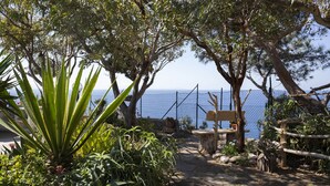 Un sendero que lleva a un banco con vistas al mar.