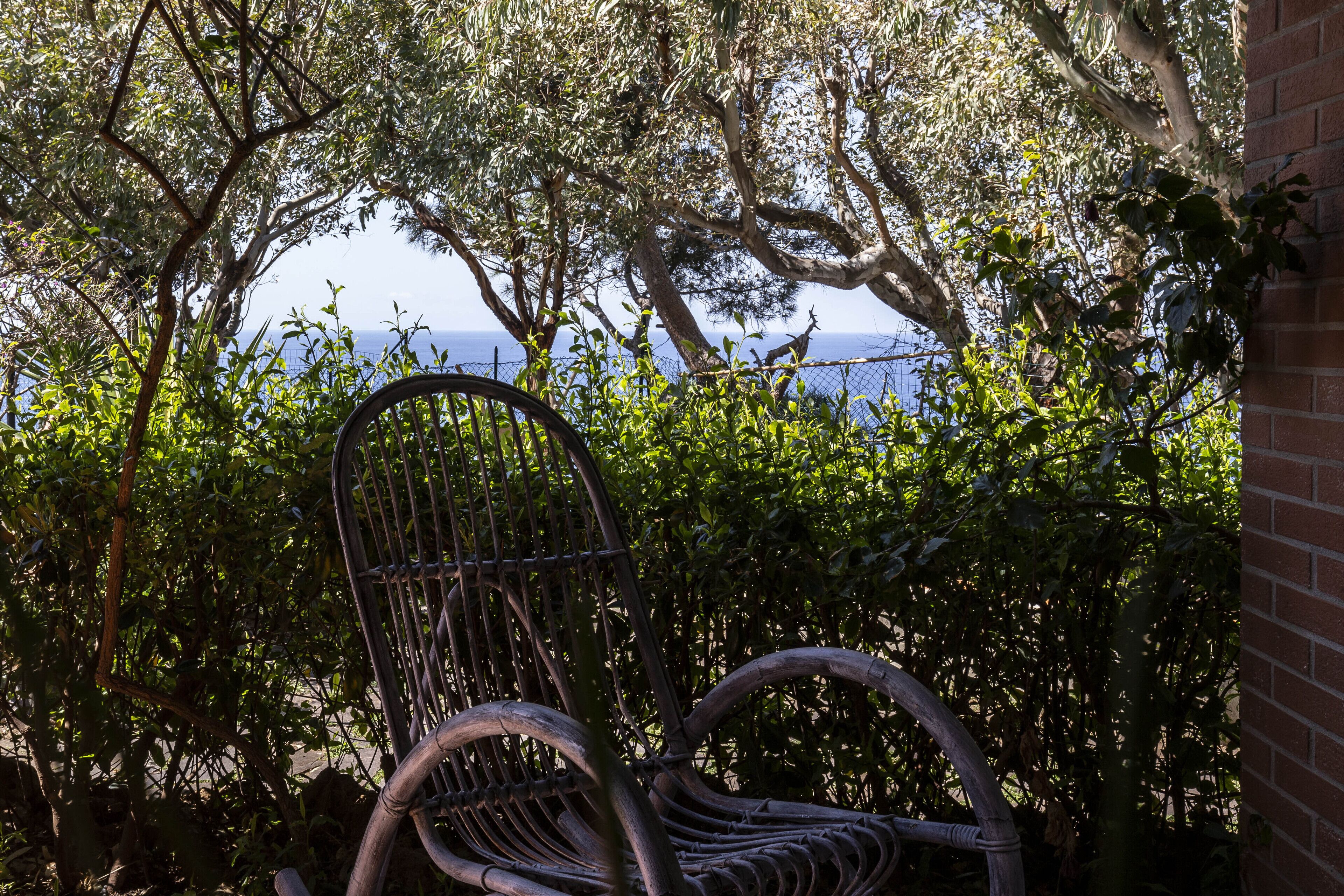 A wicker chair in a garden with dense foliage and a view of the sea.